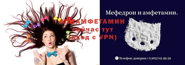 прущие грибы Новозыбков
