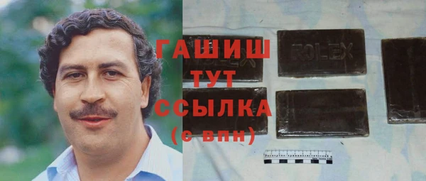 прущие грибы Новозыбков