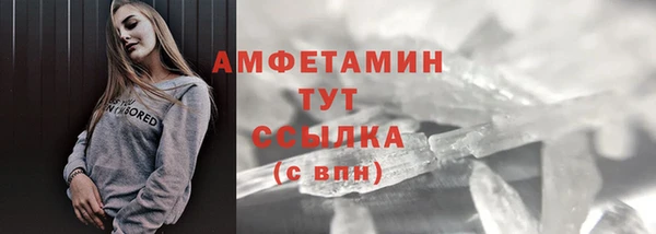 прущие грибы Новозыбков