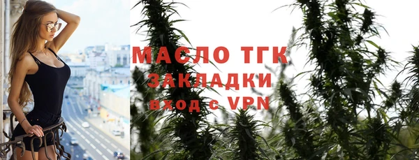 прущие грибы Новозыбков