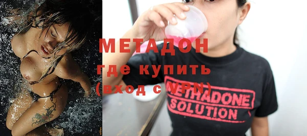 прущие грибы Новозыбков